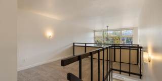 Marlene Renee Gallery 11