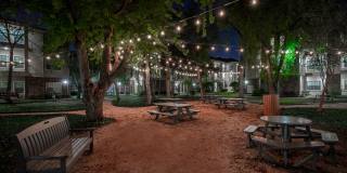 Westchase Forest Gallery 25
