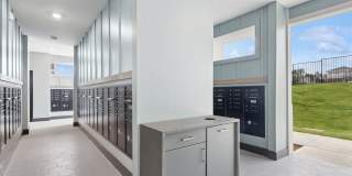 Ascend at Carlton Gallery 14