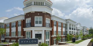 Avalon Arlington North Gallery 50