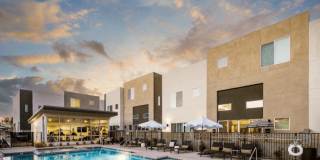 Novella at Biltmore Homes for Rent Gallery 17
