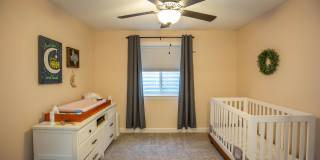 Stunning 4 Bed, 3 Bath Home | 3-Car Garage | Scenic Meadows Gallery 21