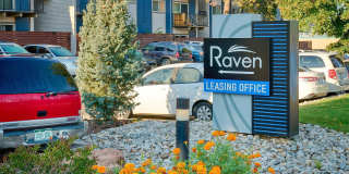 Raven Gallery 23