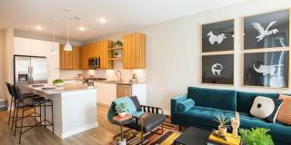 Bexley Summerhill Gallery 33