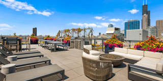 Roosevelt Collection Lofts Gallery 8