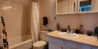 Graduate and Professional Gallery 85