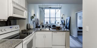 The Victor Gallery 24