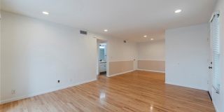 263 Tarocco Gallery 4