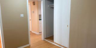 Beautiful 4 Bedroom Home in Hyder Park Gallery 21