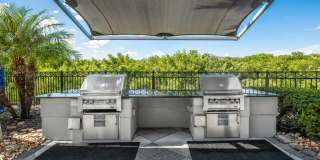 Peridot Palms Gallery 35