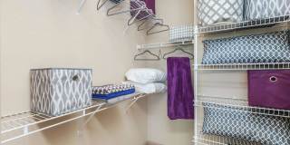 RIZE at Winter Springs Gallery 55