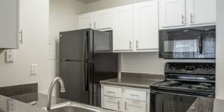 The Lory of Panama City Gallery 3