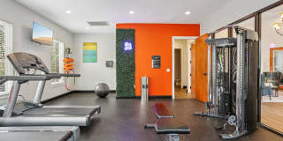 The Brentwood Gallery 23