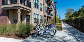 Creekline at Fairfield Gallery 21