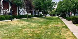 6973 Los Reyes Circle - 1 Gallery 21