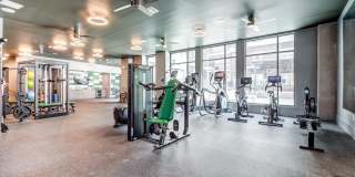 Esperanza Domain Gallery 10