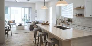 Novella at Biltmore Homes for Rent Gallery 12