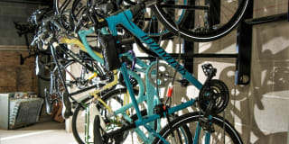 The Murals of LynLake Gallery 23