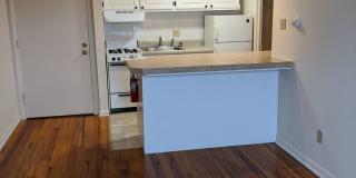 Graduate and Professional Gallery 61