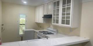 382 Orange Blossom Gallery 3