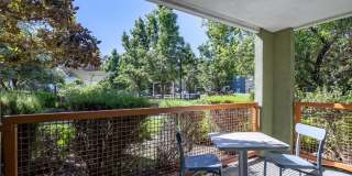 CitySouth Gallery 13