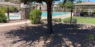 4717 E Redfield Road Gallery 14