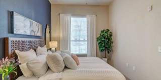 District at Medical Center Gallery 16