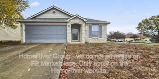 16402 Royal Horse Gallery 1