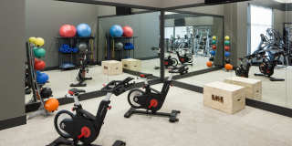 Emery West Highland Gallery 19