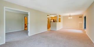 The Plaza Gallery 16