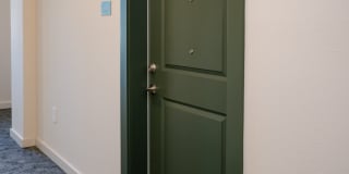 Isla Palmetto Gallery 36