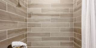 The Cameron Gallery 17