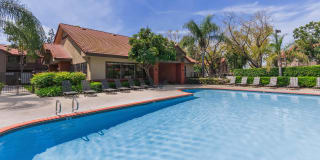 Park Centre Apartment Homes Gallery 16