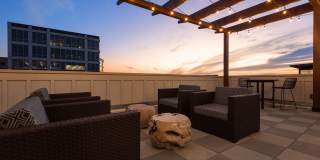 Troubadour Gallery 91