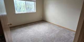 304 Peter Place - D Gallery 5