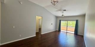 704 Peachy Canyon Circle Gallery 4