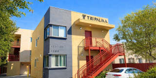 1259 W 36th Place - Co-Living Gallery 9