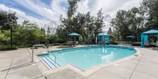 Alta Vista Gallery 20