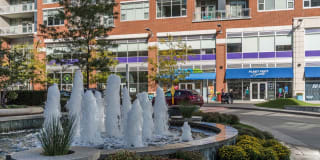 Roosevelt Collection Lofts Gallery 37