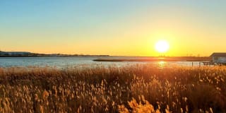 Avalon Harbor Isle Gallery 45