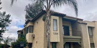 Stunning 2 bed 2 bath Condo In San Carlos Stunning 2 bed 2 bath Condo In San Carlos Gallery 1