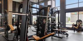 Solana Central Park Gallery 22