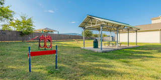 Longhorn Crossing Gallery 25