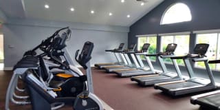 TGM Danada Gallery 24