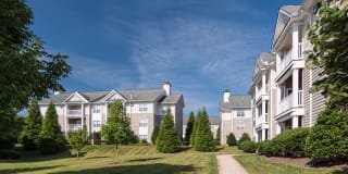 Stuart Hill Gallery 25