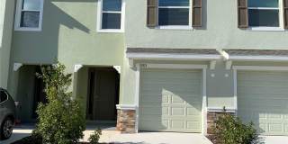 32513 MIDSUMMER NIGHT Lane Gallery 1