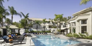 Las Palmas Gallery 23