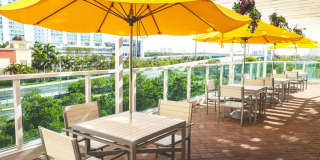 Intracoastal Yacht Club Gallery 12