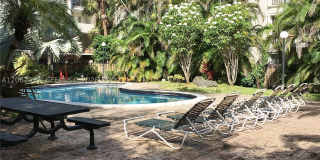 6904 N Kendall Dr Gallery 22