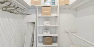 Sea Oats Sea Oats Gallery 81